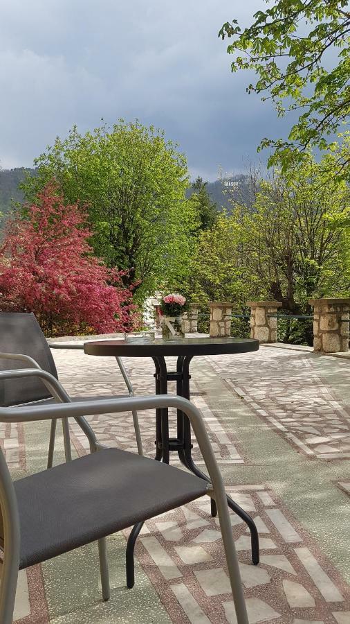 Central Park Apartments Brasov Bagian luar foto
